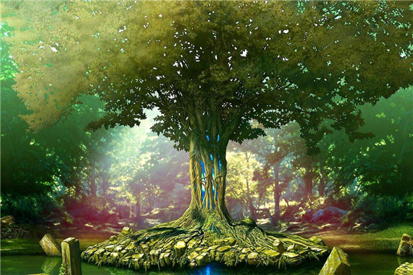 㻹Щص 10ϡŹֵ