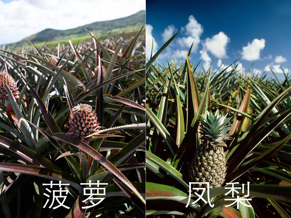 Ͳĸ Ͳһˮ