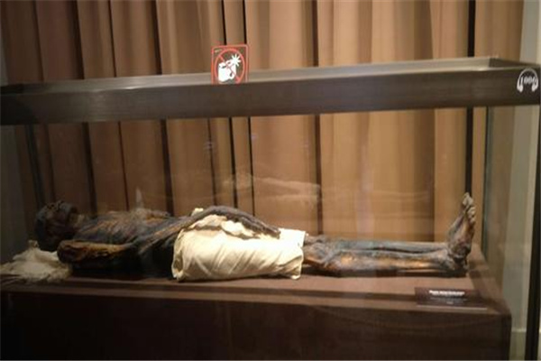 ľ������������ͼƬ �Ű���ľ������ʲô�������