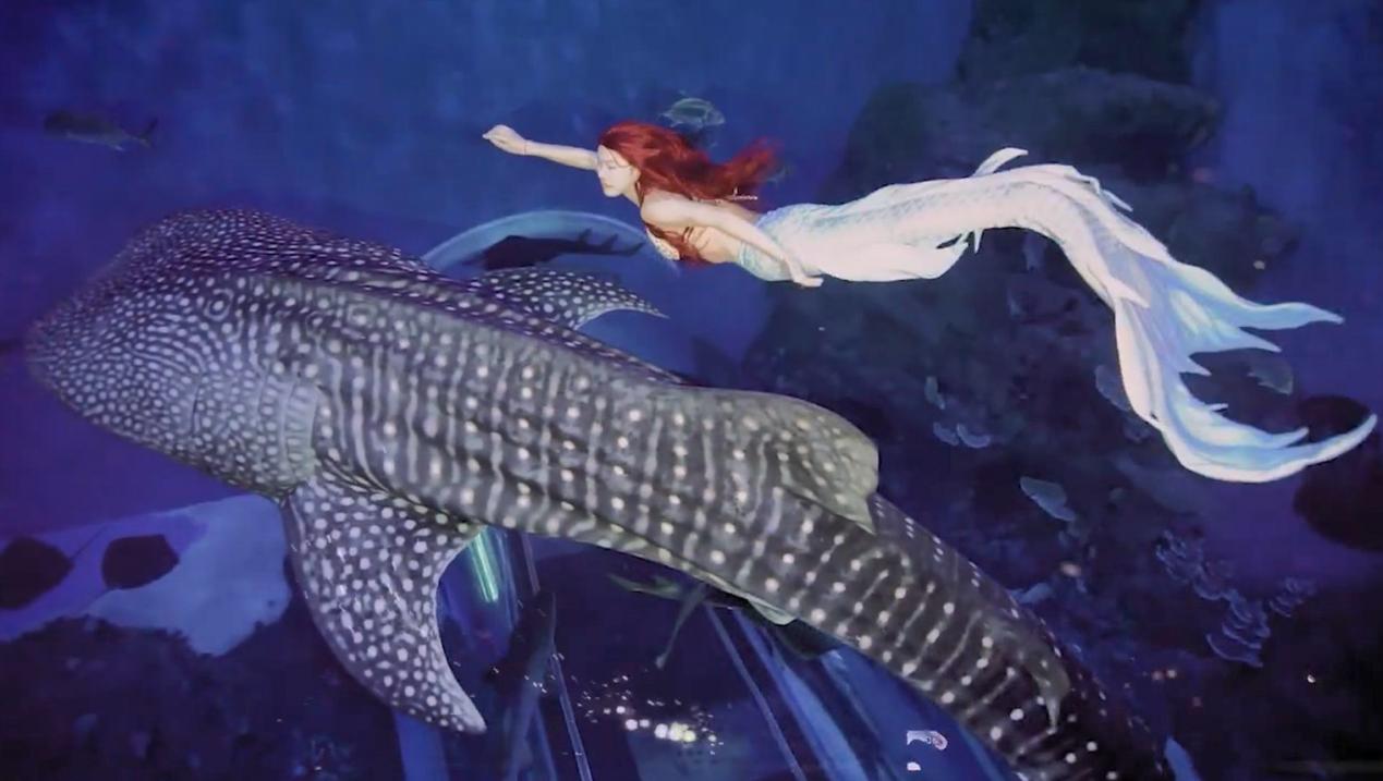  ûʵƬ