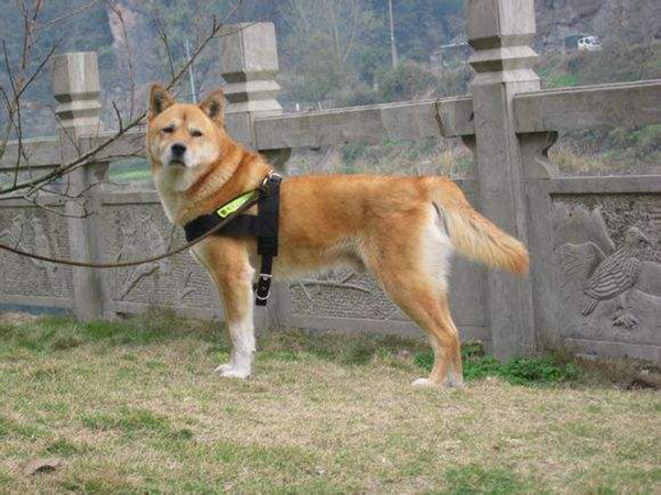 л԰Ȯ5Ʒͼ ԰ȮƷִȫͼƬ