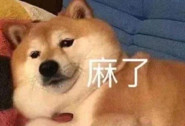 Ʒʲô˼ ƷƷ̬