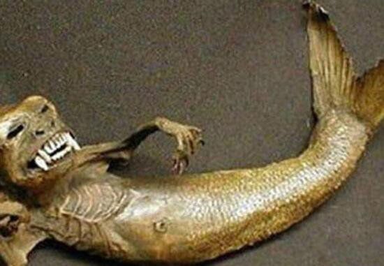 Ĵڹ Ϻʲôӵ