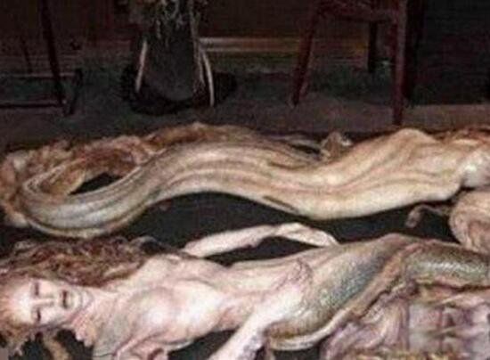 Ĵڹ Ϻʲôӵ