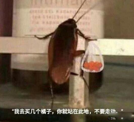 ıӰӵĹʲô˼ ȥ