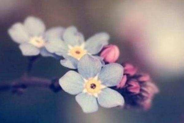 ڰ˳䲻 οڰ˳ʲô˼