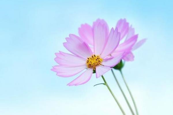 ڰ˳䲻 οڰ˳ʲô˼