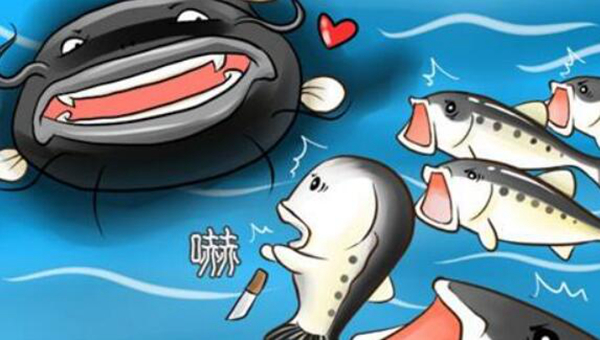 ЧӦʲô˼ ʲô