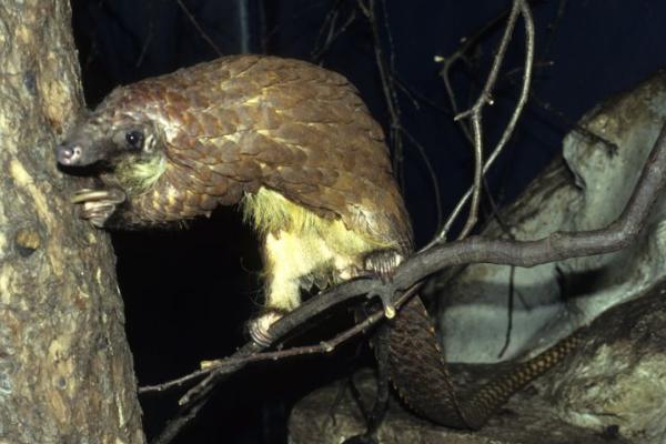 ����ɽ�����ڼ����������� ����ɽ��ͼƬ����