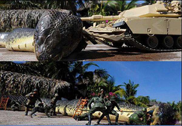 红海巨蛇图片是真的吗 红海巨蛇事件到底有多长