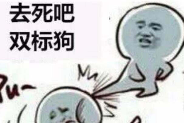 ˫Ϊʲô˼ ʲô˫