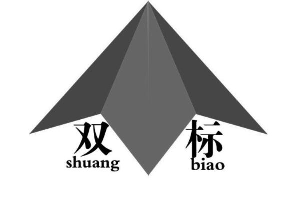 ˫Ϊʲô˼ ʲô˫