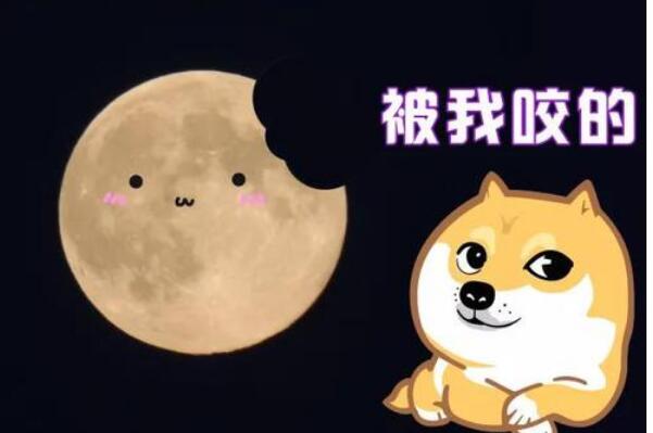 칷ʳʲô дʲô˼