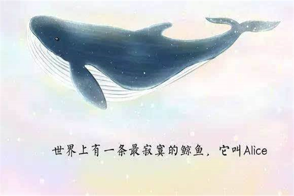 ¶ľô һAliceľ