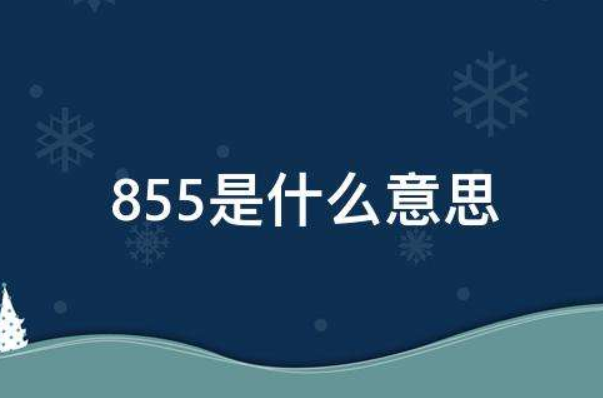 855Ի ˵855ʲô˼