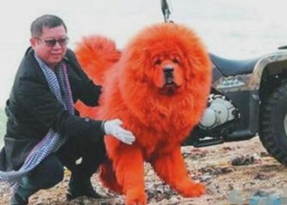 ����������ǮһֻͼƬ ������ֵǮ�ĺ�ɫ����