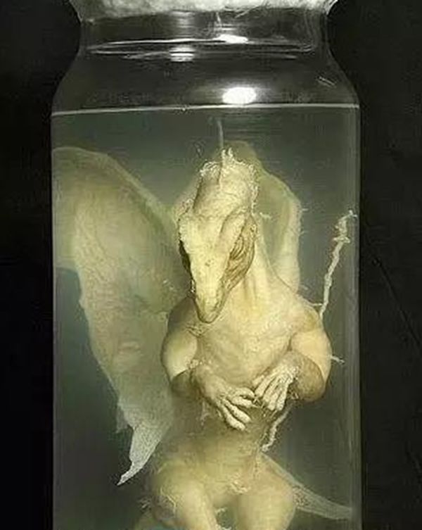 ʵ¼Щ ̵ʵ¼