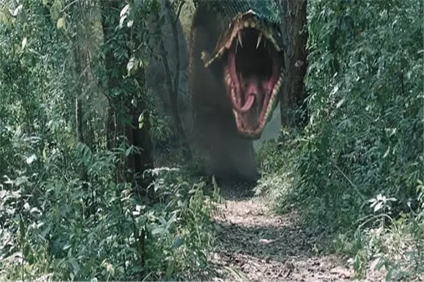 ¼ ¼ʼĩ