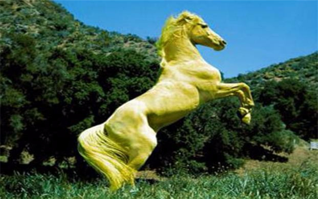 йŴʮ һʲô
