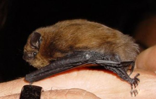 ����ɵ�������ʲôԤ�� �����ǲ���������