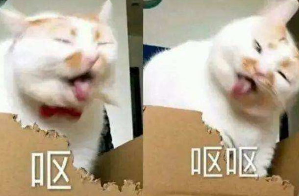 yueʲô˼ Ů˵yueĺ