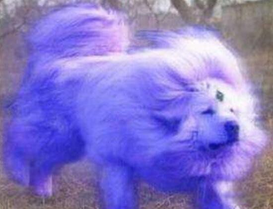 ʲô ޲ͼƬĴ