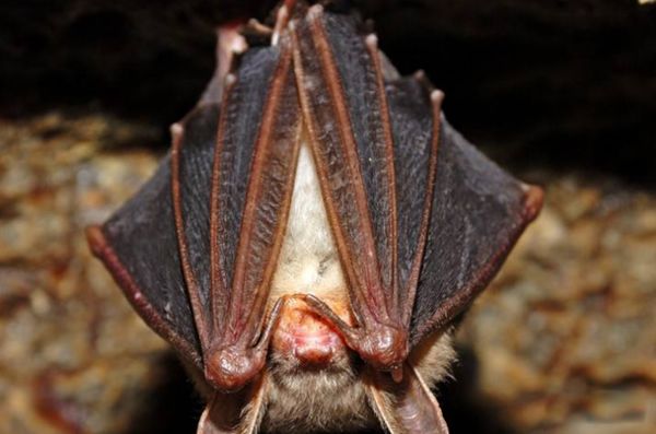 ����ɵ�������ʲôԤ�� �����ǲ���������