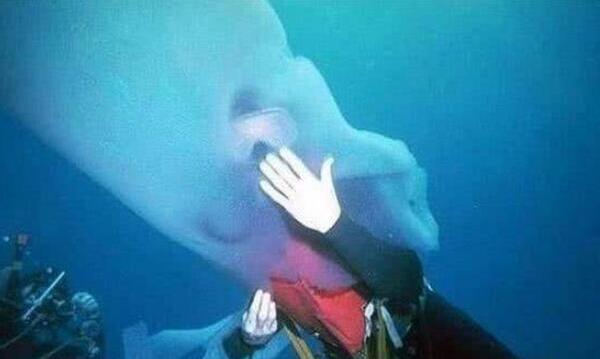 ʲô ͻ˵ͼƬ