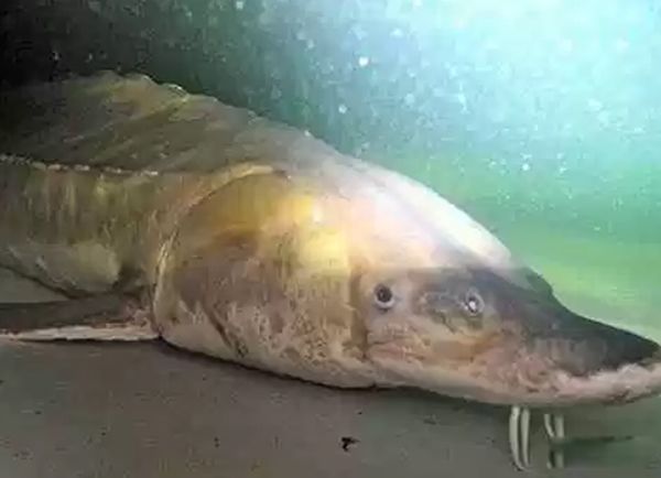ĵˮǰʮ ĵˮж
