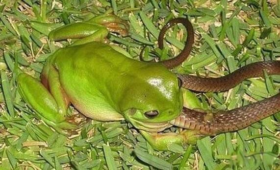 ʳʲô ʳܳߵʲô