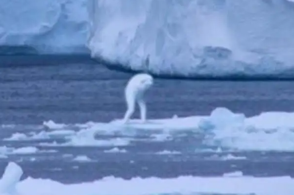 ĵ˰ 2ĵľ