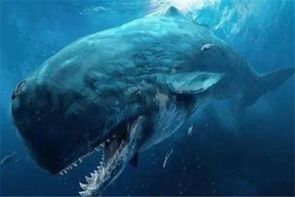 ֲľʲô ˹ǵһ
