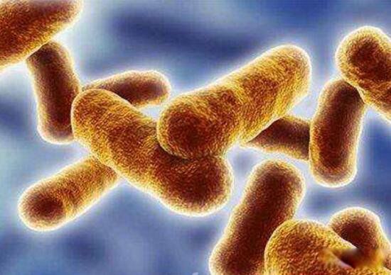 ��Ԫ�صĶ����ж�ֲ� ʮ��綾��ѧ����һ����