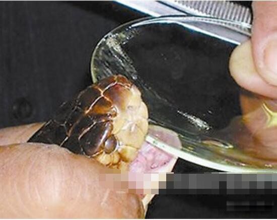 ��Ԫ�صĶ����ж�ֲ� ʮ��綾��ѧ����һ����