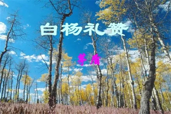 éܵƷЩ ˵һìܵƷ