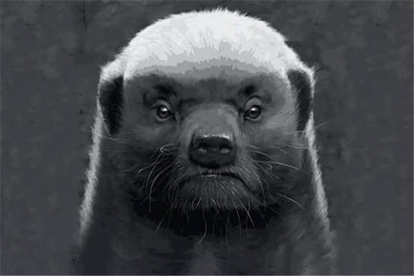 ⵵ж ̴൱