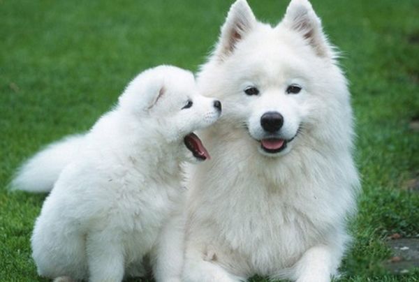 ���Ĺ���Ʒ������ ���������Ĺ�ǰʮ�����а�