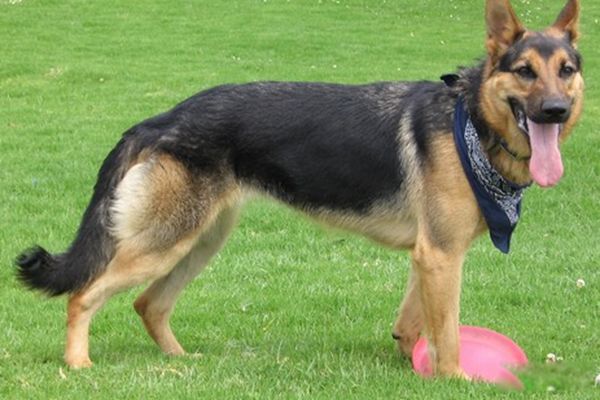 ���Ĺ���Ʒ������ ���������Ĺ�ǰʮ�����а�