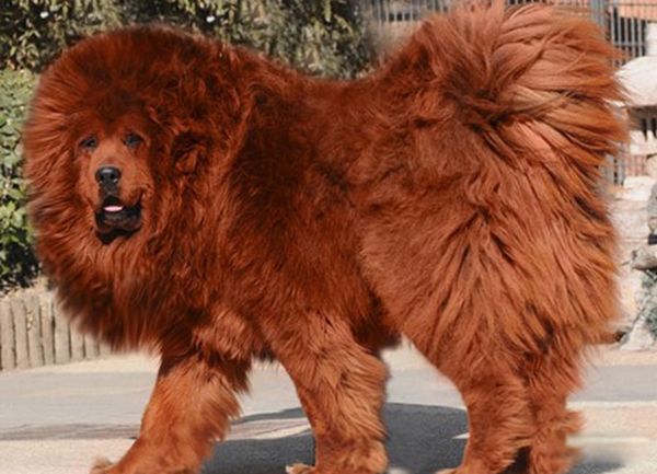 ���Ĺ���Ʒ������ ���������Ĺ�ǰʮ�����а�