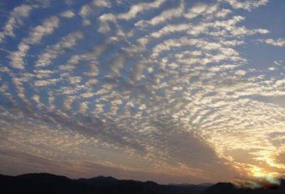 ��������ʲô���ӵ���ͼƬ ����Щ���෢������ǰ����ͼƬ