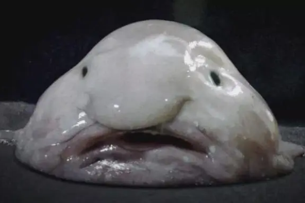 ͼƬ ʲôͼƬ