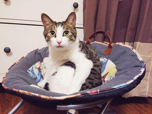 л԰èƷֽܼͼƬ ۸Ǯһֻ