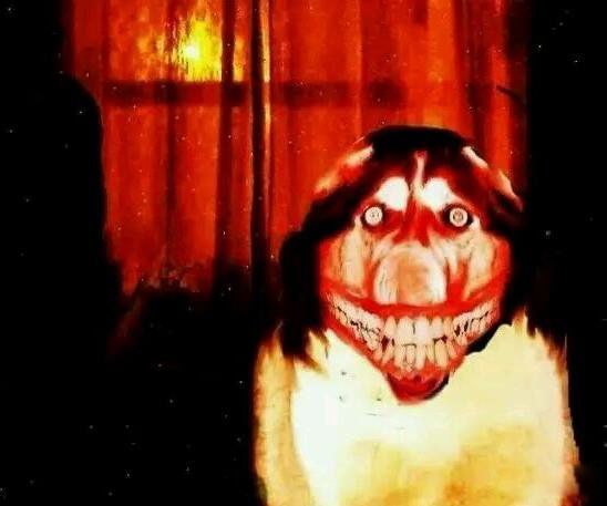 smile dog΢Цʲô˼ ΢Цֲԭͼûp֮ǰ