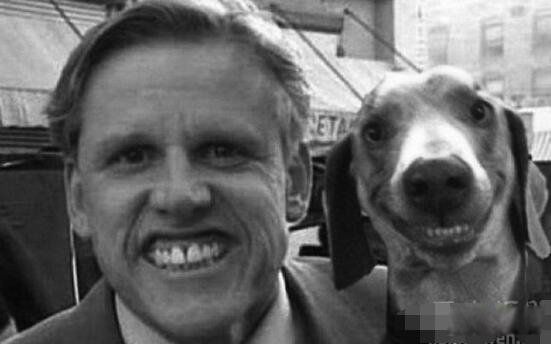 smile dog΢Цʲô˼ ΢Цֲԭͼûp֮ǰ
