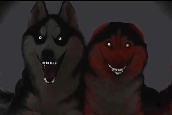 smile dog΢Цʲô˼ ΢Цֲԭͼûp֮ǰ