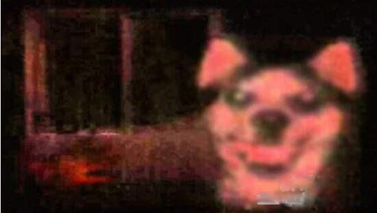 smile dog΢Цʲô˼ ΢Цֲԭͼûp֮ǰ