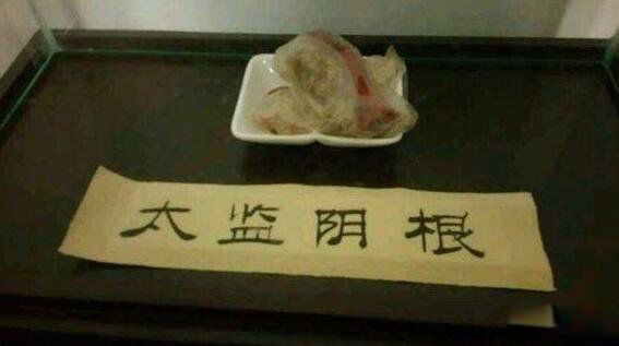 ̫ΪʲôҪ Щԭ