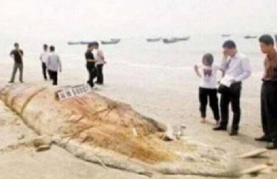 ��ë������ʲô�� ��ë�㳤ʲô����ͼƬ