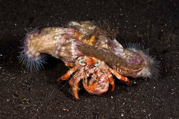 �ľ�з�ͺ����������໥����� �����ǹ������Ǻ���