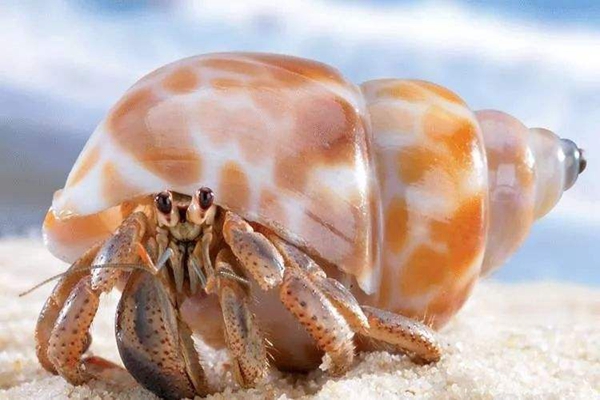 �ľ�з�ͺ����������໥����� �����ǹ������Ǻ���